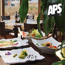 APS GLOBAL